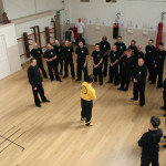 Sifu Sergio teaching the instructor group