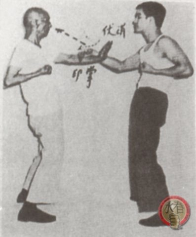 ip man training bruce lee